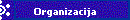 Organizacija